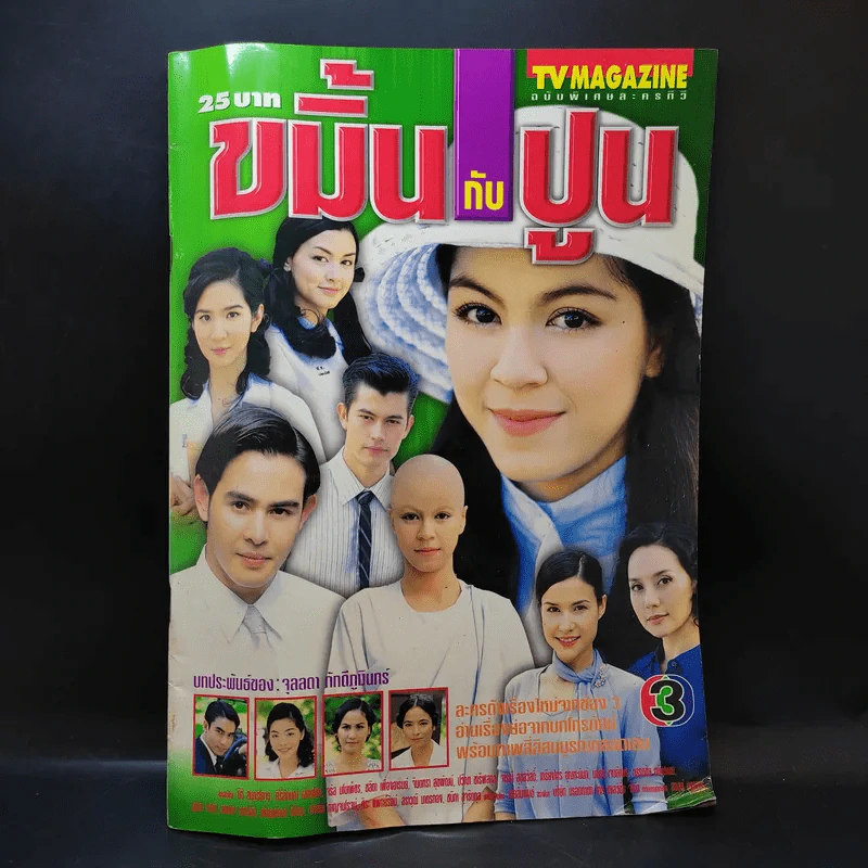 ขมิ้นกับปูน เรื่องย่อละคร ทีวีแม็กกาซีน รูปที่ 1