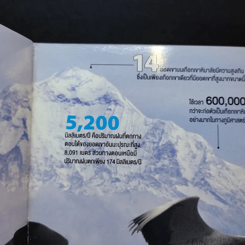 World of Numbers Science Illustrated รูปที่ 9