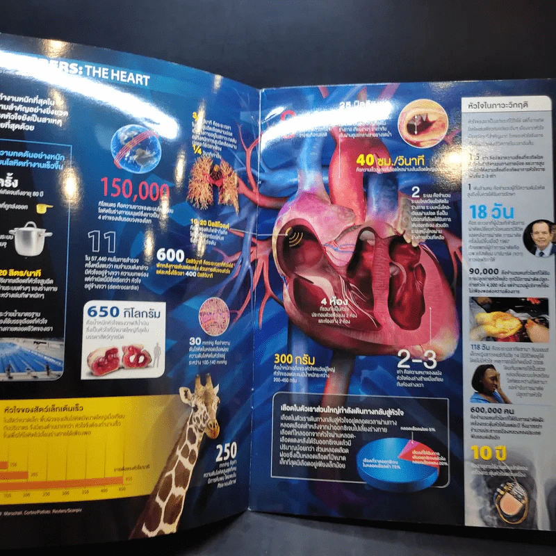 World of Numbers Science Illustrated รูปที่ 8
