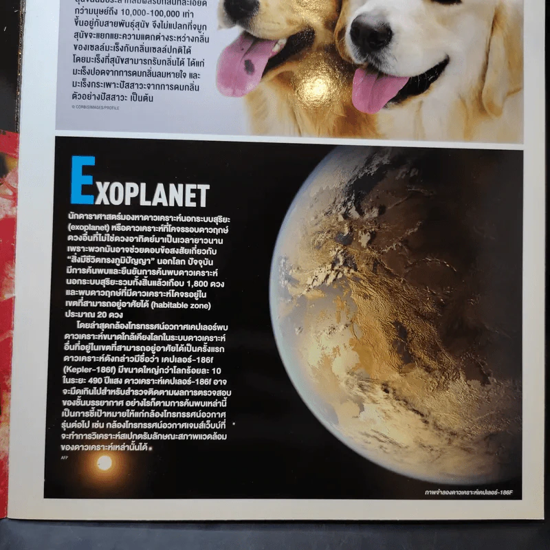 World of Science A to Z Science Illustrated รูปที่ 9