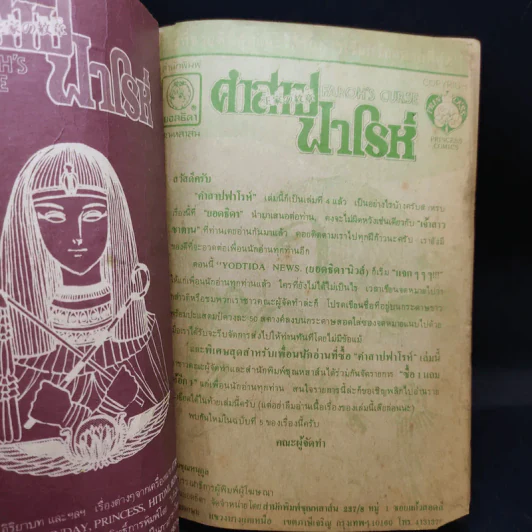 คำสาปฟาโรห์ เล่ม 4 รูปที่ 8