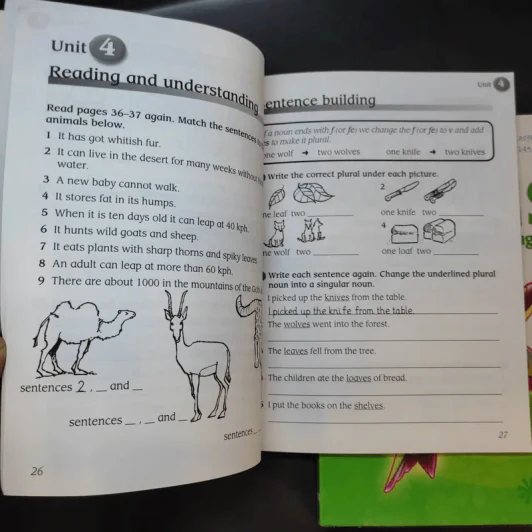 Macmillan English Language + Practice + Fluency Book 3 รูปที่ 12