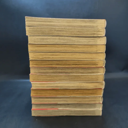สโนไวท์ผมแดง เล่ม 1-13 รูปที่ 5