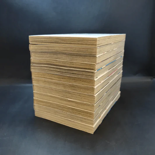 ศึกปืนกล คนผ่าเหล่า เล่ม 1-12 รูปที่ 6
