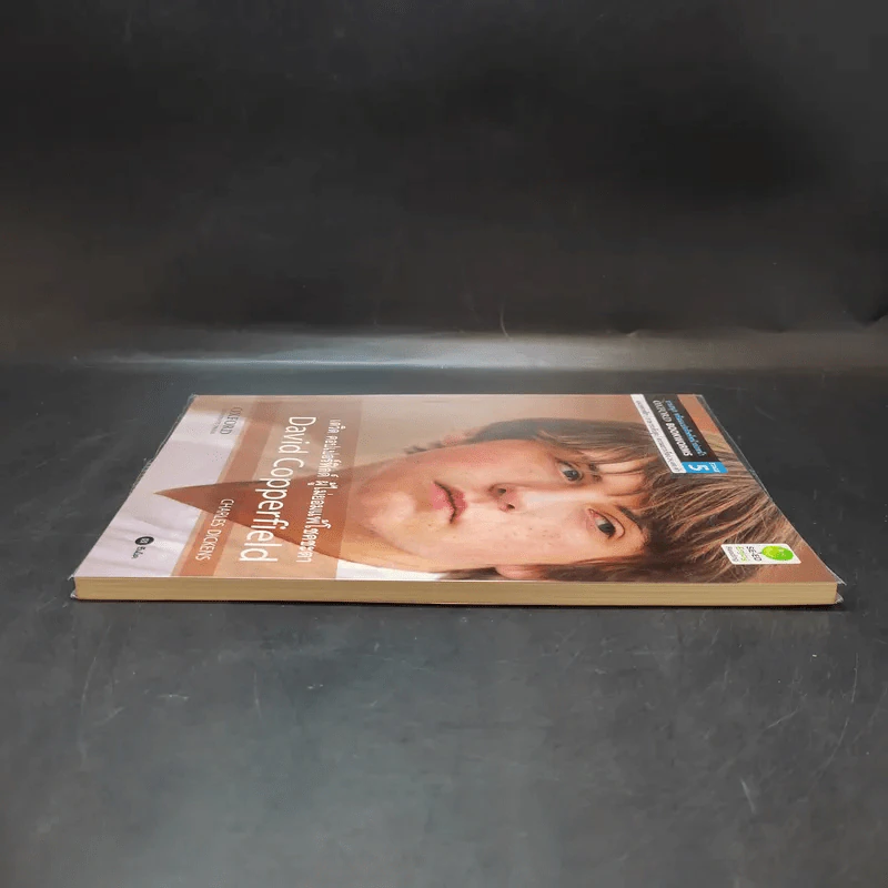 David Copperfield - Oxford Bookworms Stage 5 รูปที่ 5