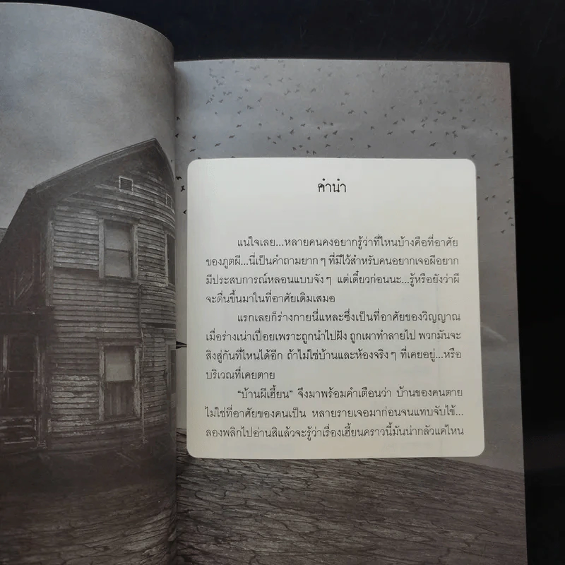 บ้านผีเฮี้ยน - แต้ม ท่าตะโหนด รูปที่ 9