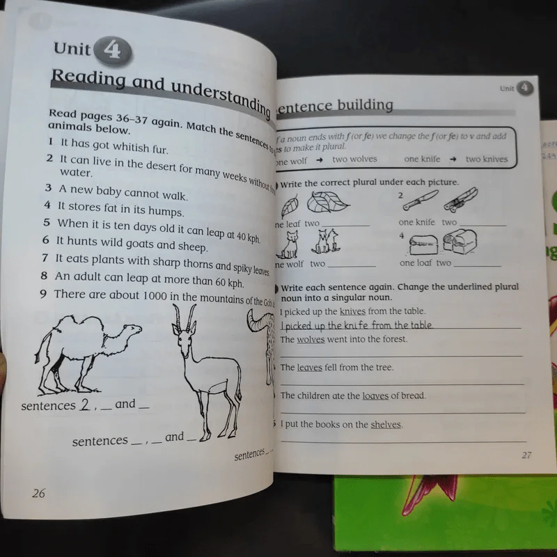 Macmillan English Language + Practice + Fluency Book 3 รูปที่ 12
