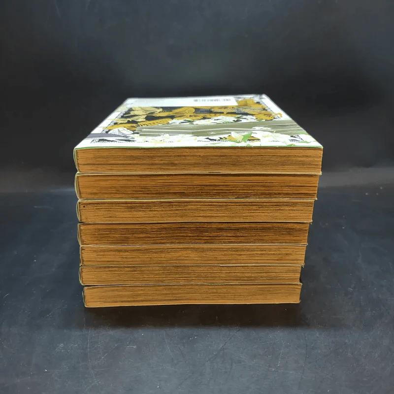 ผู้ส่งวิญญาณริดเดิ้ล เล่ม 1-7 รูปที่ 3