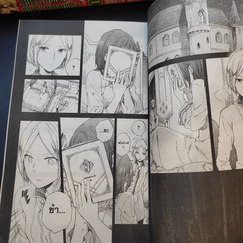 สโนไวท์ผมแดง เล่ม 1-13 รูปที่ 9