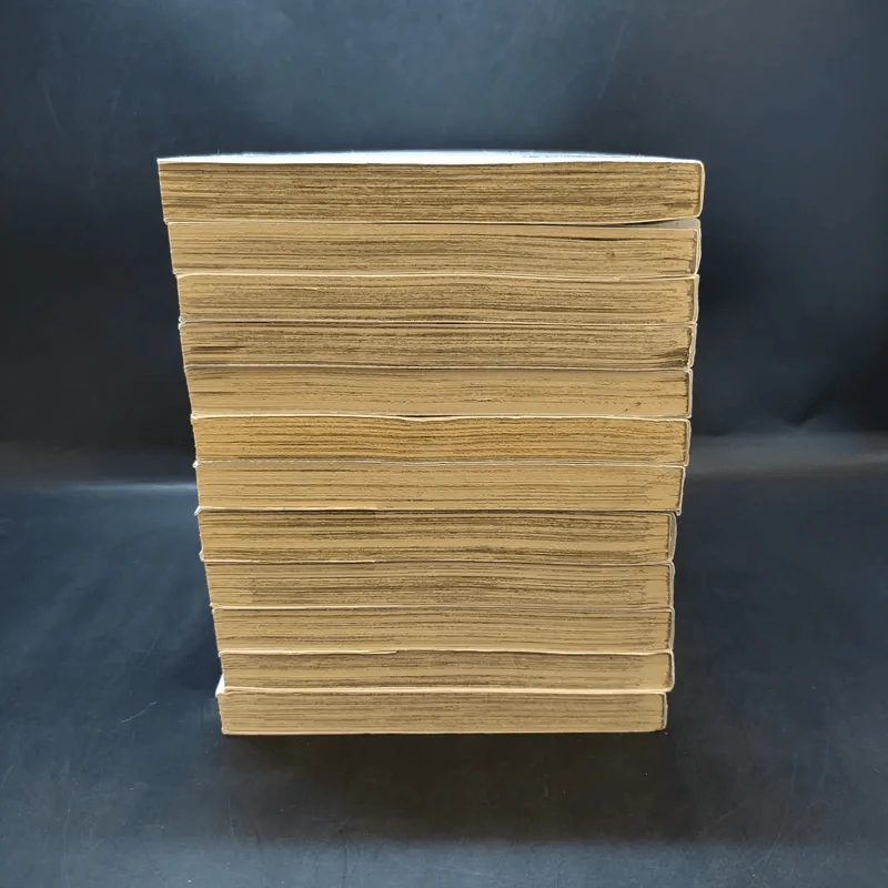 ศึกปืนกล คนผ่าเหล่า เล่ม 1-12 รูปที่ 5