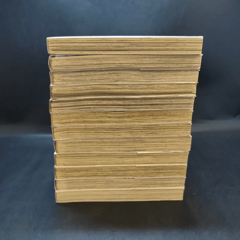 ศึกปืนกล คนผ่าเหล่า เล่ม 1-12 รูปที่ 3