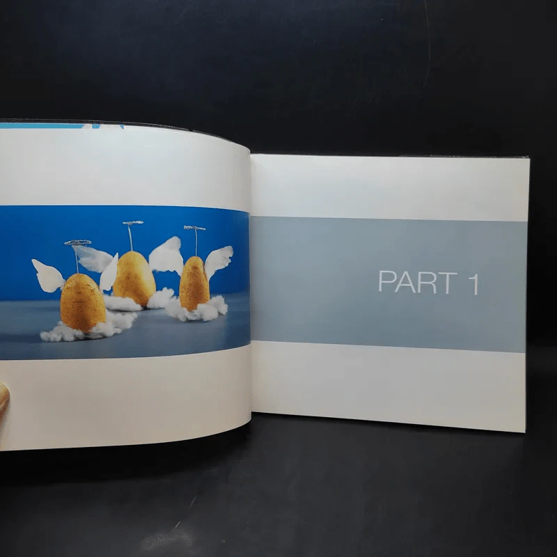 101 iDeas Flower Vol.4 - สันติพงษ์ คงรักษ์ รูปที่ 12