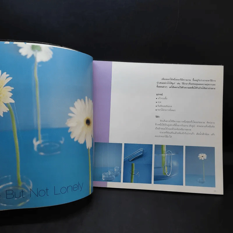 101 iDeas Flower Vol.4 - สันติพงษ์ คงรักษ์ รูปที่ 13