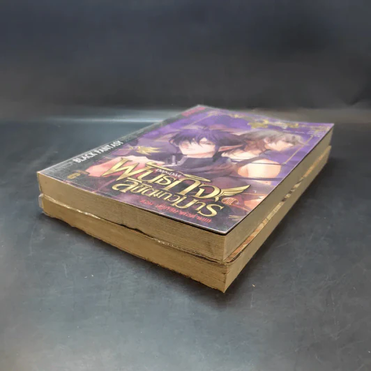 พันธกิจลิขิตเทวมาร เล่ม 1-2 รูปที่ 6