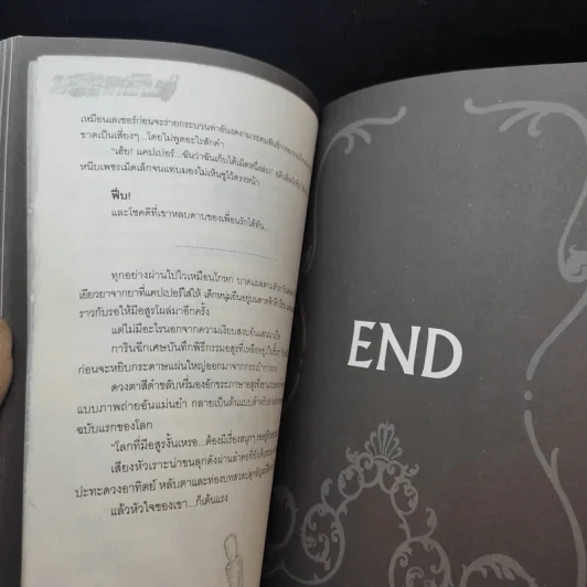 บริษัทพิทักษ์คุณหนู การิน ขายเหมา 4 เล่ม รูปที่ 11