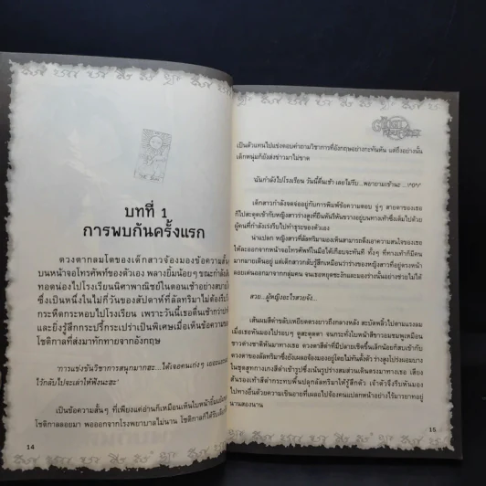 การิน ปริศนาคดีอาถรรพ์ ขายเหมา 4 เล่ม รูปที่ 9