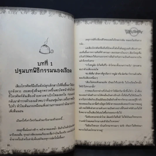 การิน ปริศนาคดีอาถรรพ์ ขายเหมา 4 เล่ม รูปที่ 13