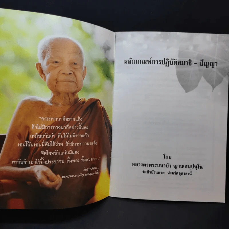 หลักเกณฑ์การปฏิวัติสมาธิ-ปัญญา - หลวงตามพระมหาบัว รูปที่ 8