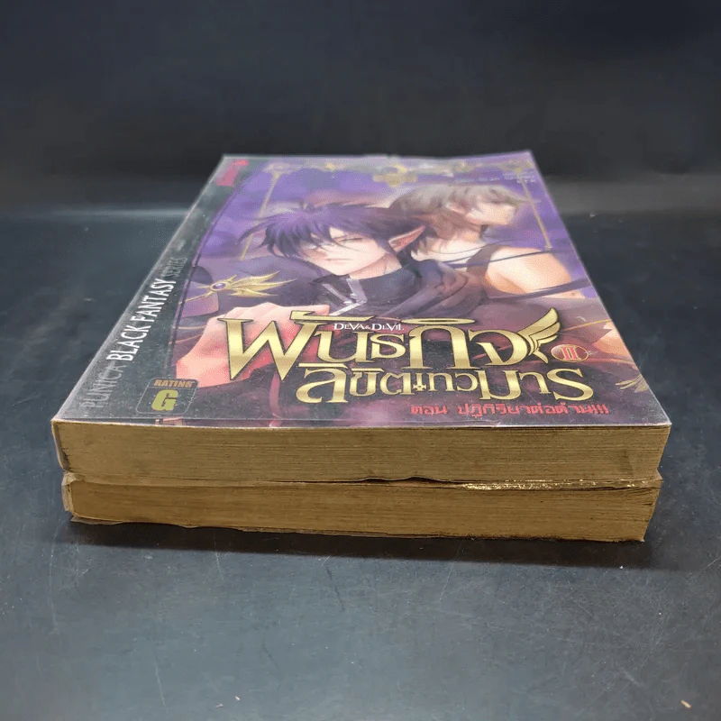 พันธกิจลิขิตเทวมาร เล่ม 1-2 รูปที่ 4