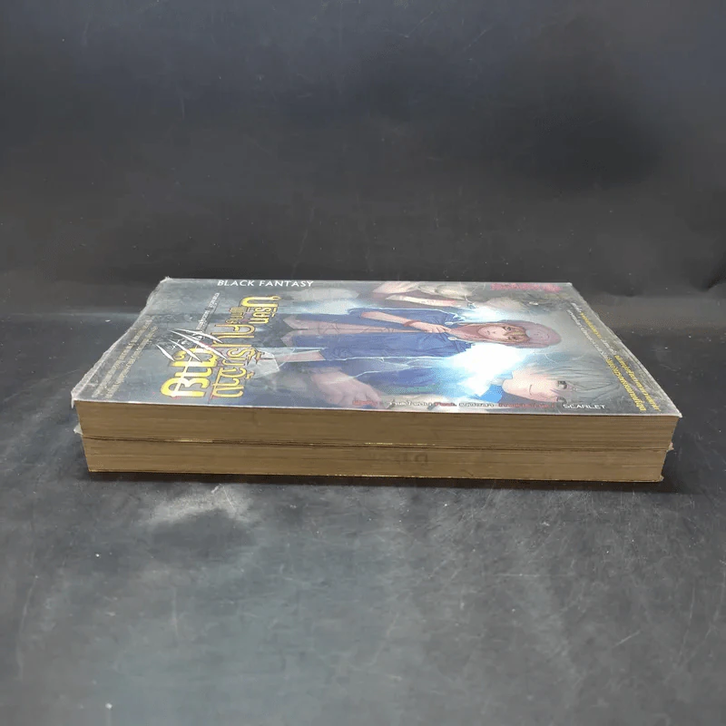 บริษัทพิทักษ์คนรับจ้างตาย เล่ม 1-2 รูปที่ 4