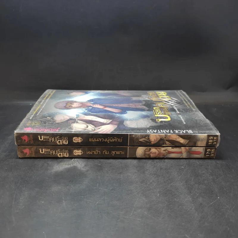 บริษัทพิทักษ์คนรับจ้างตาย เล่ม 1-2 รูปที่ 2