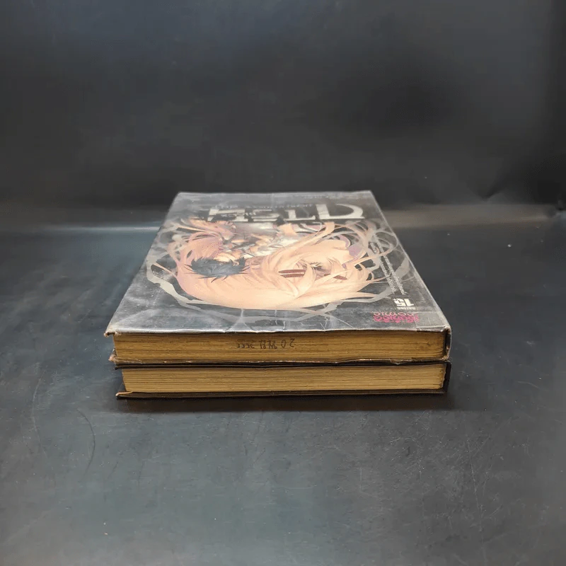 การิน Black ปริศนาอาถรรพ์สีดำ เล่ม 1-2 รูปที่ 6