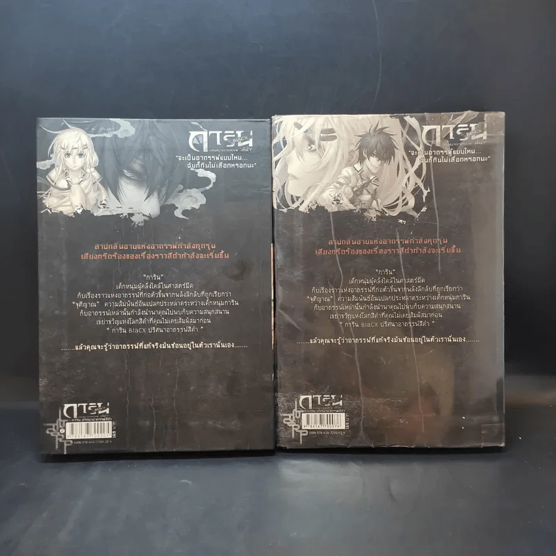 การิน Black ปริศนาอาถรรพ์สีดำ เล่ม 1-2 รูปที่ 2