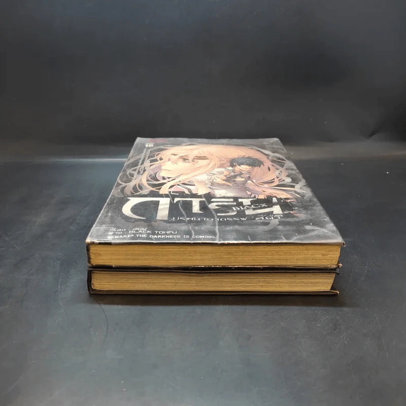 การิน Black ปริศนาอาถรรพ์สีดำ เล่ม 1-2 รูปที่ 4