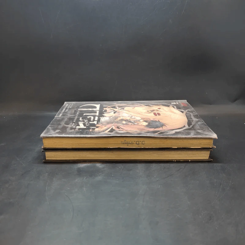 การิน Black ปริศนาอาถรรพ์สีดำ เล่ม 1-2 รูปที่ 5
