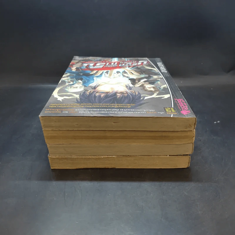 บริษัทพิทักษ์คุณหนู การิน ขายเหมา 4 เล่ม รูปที่ 5