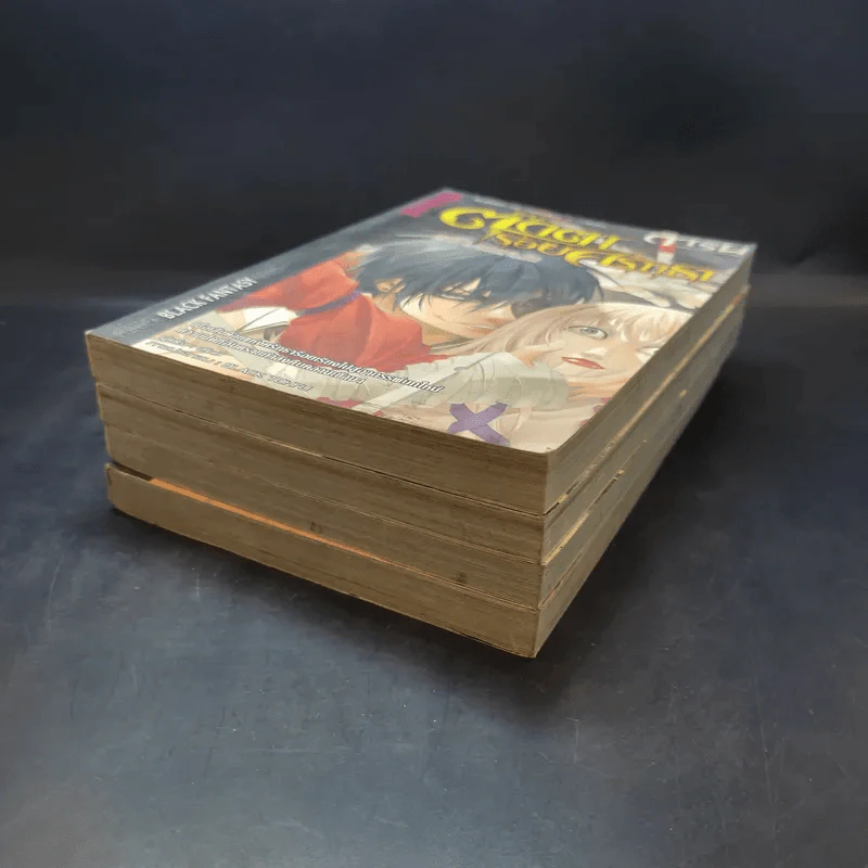 การิน ปริศนาคดีอาถรรพ์ ขายเหมา 4 เล่ม รูปที่ 6