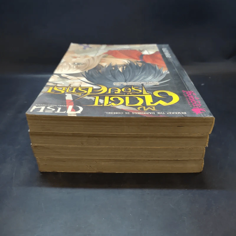 การิน ปริศนาคดีอาถรรพ์ ขายเหมา 4 เล่ม รูปที่ 5