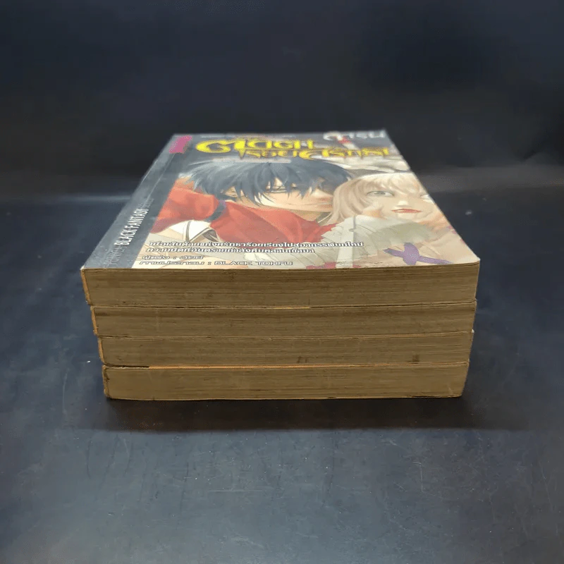 การิน ปริศนาคดีอาถรรพ์ ขายเหมา 4 เล่ม รูปที่ 3