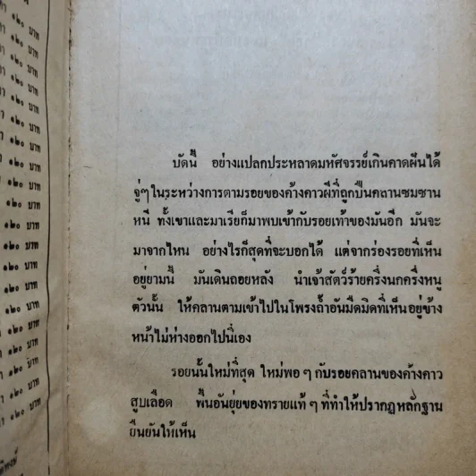 เพชรพระอุมา ตอน จอมผีดิบมันตรัย 4 เล่มจบ - พนมเทียน รูปที่ 17