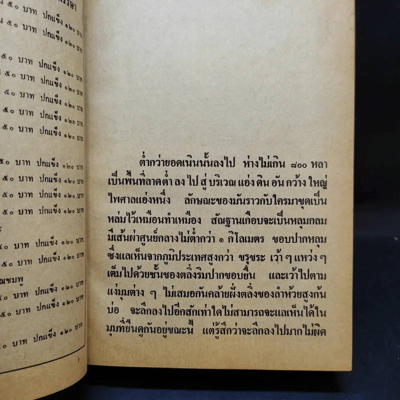 เพชรพระอุมา ตอน ป่าโลกล้านปี 4 เล่มจบ - พนมเทียน รูปที่ 17