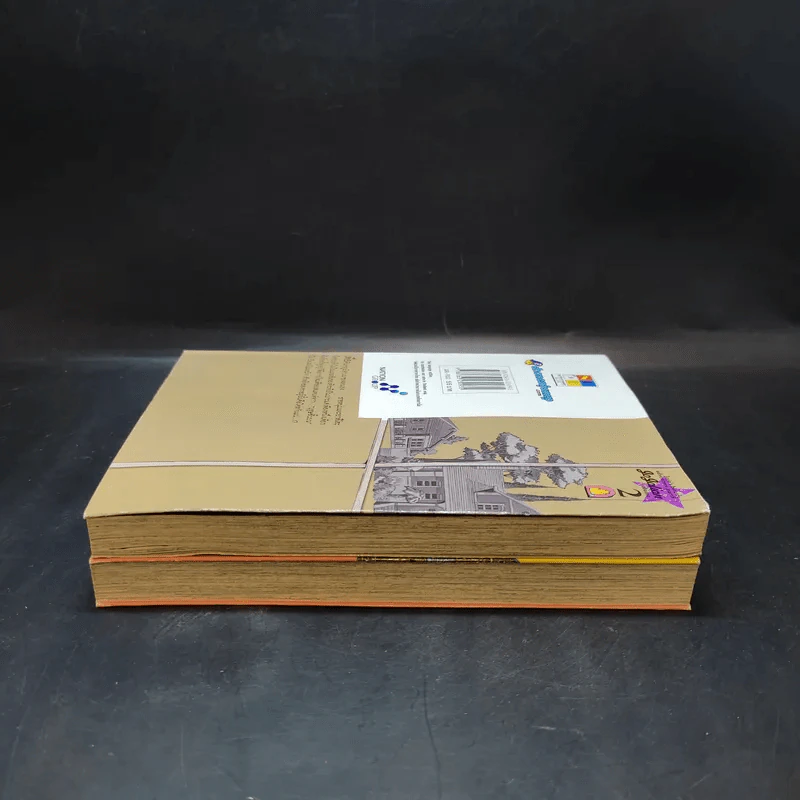 JoJo ล่าข้ามศตวรรษ Part 8 JoJoLion เล่ม 1-2 รูปที่ 6