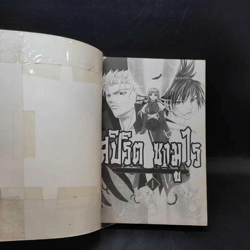 ฤทธิ์ดาบวงพระจันทร์ เล่ม 1 รูปที่ 8