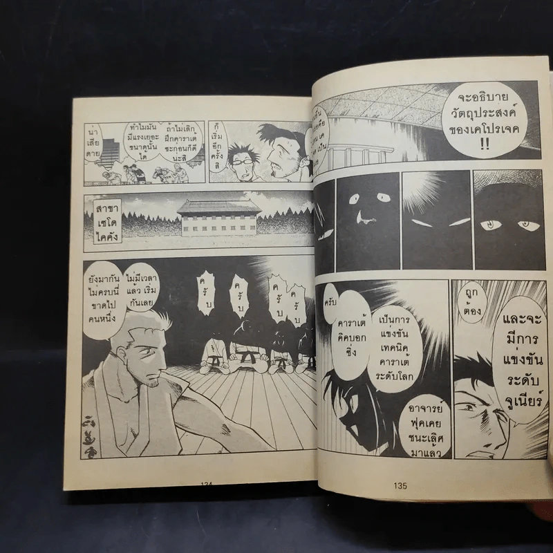 ฤทธิ์ดาบวงพระจันทร์ เล่ม 1 รูปที่ 13
