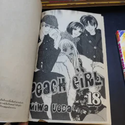 Peach Girl 18 เล่มจบ + นอกรอบ เล่ม 1-3 + Fanbook รูปที่ 10