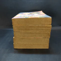 หนุ่มห้าวสาวเปรี้ยว เล่ม 11-15 รูปที่ 3