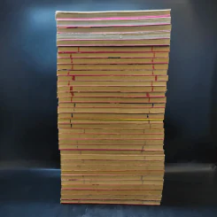 หมัดสั่งสร้างฝัน 48 เล่มจบ (ขาดเล่ม 31-43) รูปที่ 5