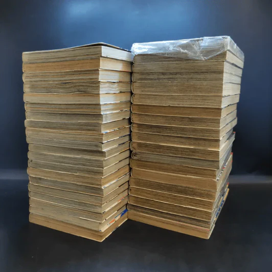 Get Backers อย่างนี้ต้องเอาคืน 39 เล่มจบ รูปที่ 15
