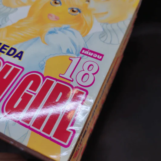 Peach Girl 18 เล่มจบ + นอกรอบ เล่ม 1-3 + Fanbook รูปที่ 8