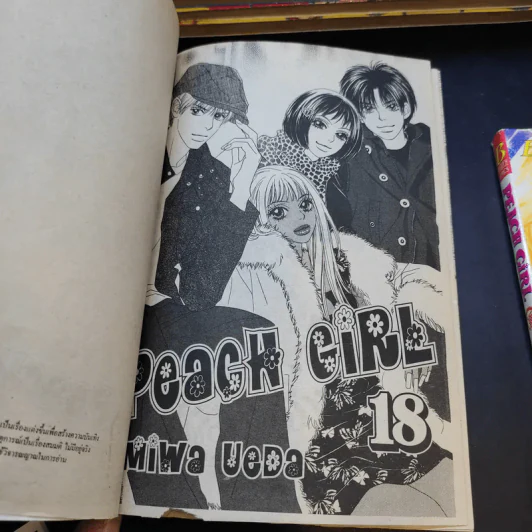 Peach Girl 18 เล่มจบ + นอกรอบ เล่ม 1-3 + Fanbook รูปที่ 10