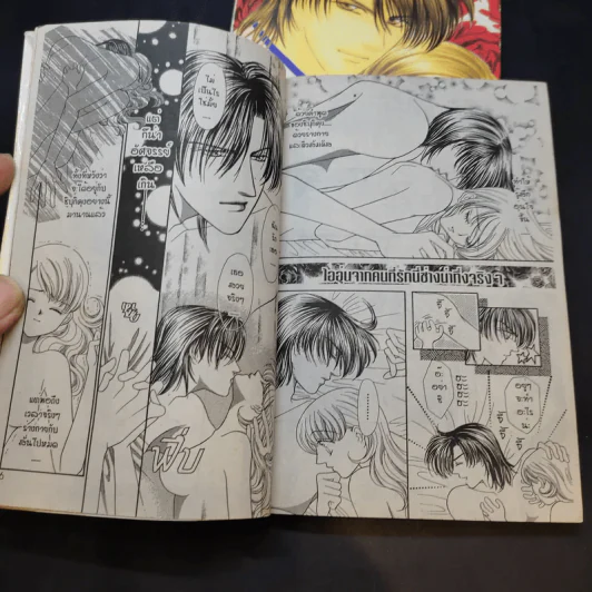 Sexy บอดี้การ์ด 2 เล่มจบ - Shinjo Mayu รูปที่ 11