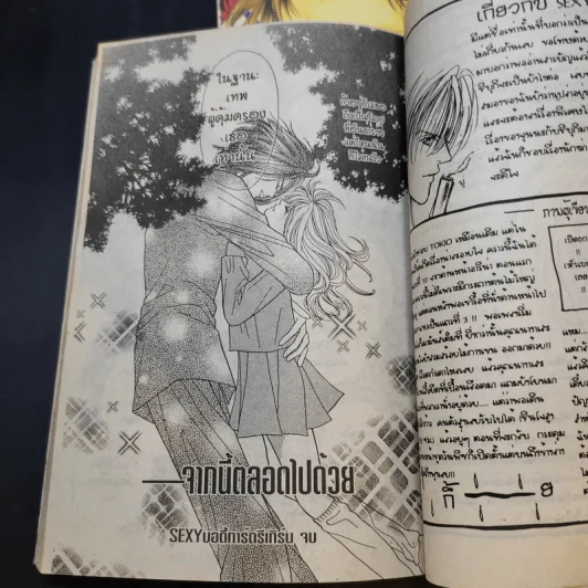 Sexy บอดี้การ์ด 2 เล่มจบ - Shinjo Mayu รูปที่ 12