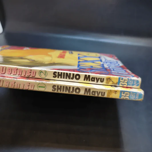 Sexy บอดี้การ์ด 2 เล่มจบ - Shinjo Mayu รูปที่ 14