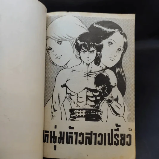 หนุ่มห้าวสาวเปรี้ยว เล่ม 11-15 รูปที่ 6