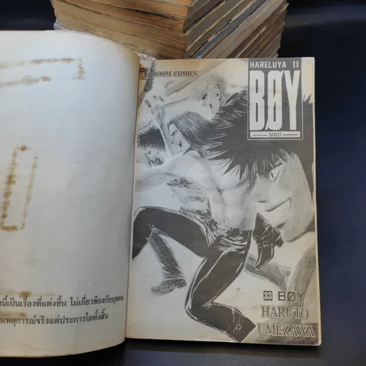 Boy Hareluya II เล่ม 1,7-10,14,18-33 รูปที่ 8