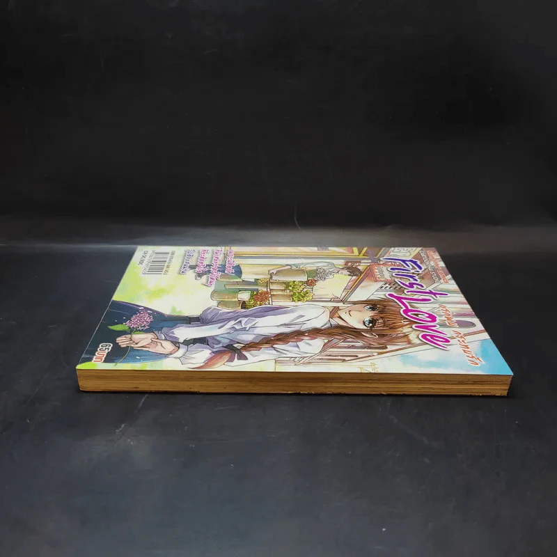 First Love แรกพบ กระทบรัก รูปที่ 5